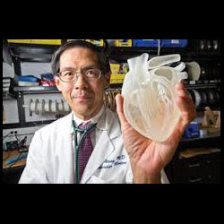 http://3dprintingindustry.com/wp-content/uploads/2014/04/3d-printing-heart-stanford-research.jpg