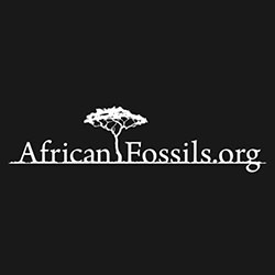African Fossils 3d printing