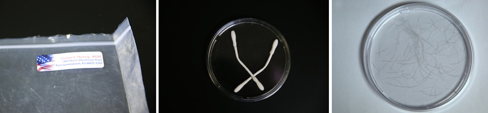Chelsea Manning DNA cotton swab for 3D printed art project copy