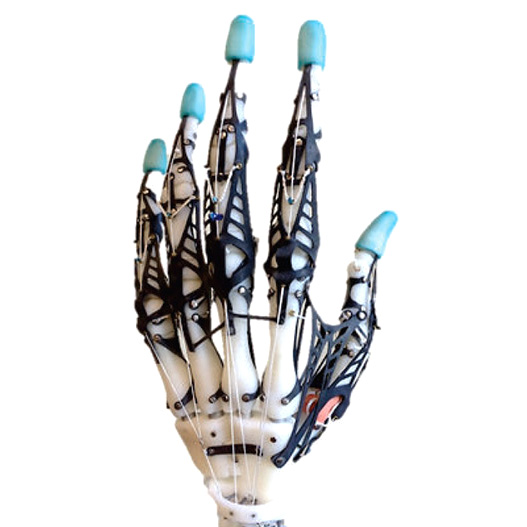 3D printed biomimetic hand