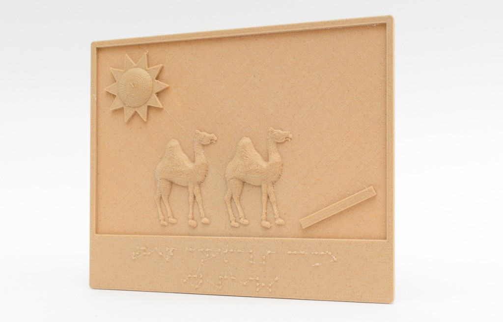 Tactile Picture Books Project 3D printed books blind one page with camel
