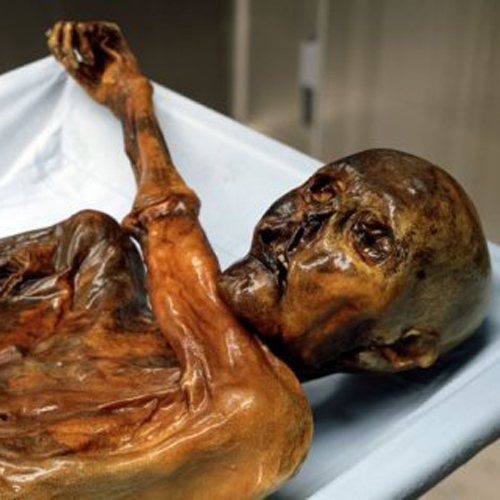 otzi the iceman to be 3D printed