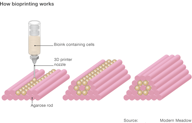 bioprinting Bioink