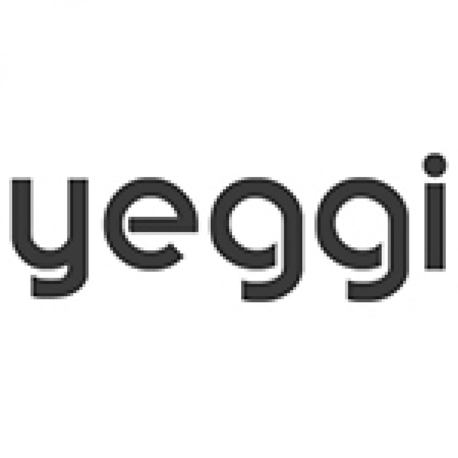 yeggi crypto price