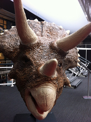 Triceratops 3D Printed 3D Printshow