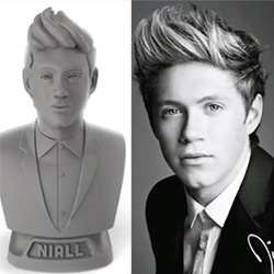 11-Year-Old Fan of One Direction Prints Niall with 3D Printlife - 3D  Printing Industry
