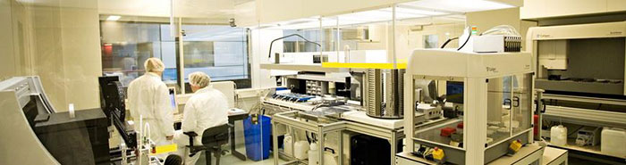 Micro Array Holstege 3D Bioprinting Netherlands