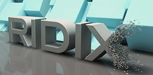 ridix 3D Printing Shop
