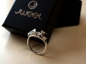 Jweel 3d printing jewellery
