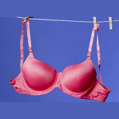 Customised 3D Printed Bras Sound Good in Principle ….BUT …. - 3D