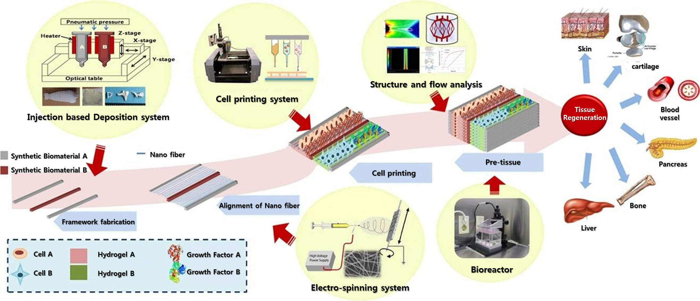 Diagram  3d bioprinting 