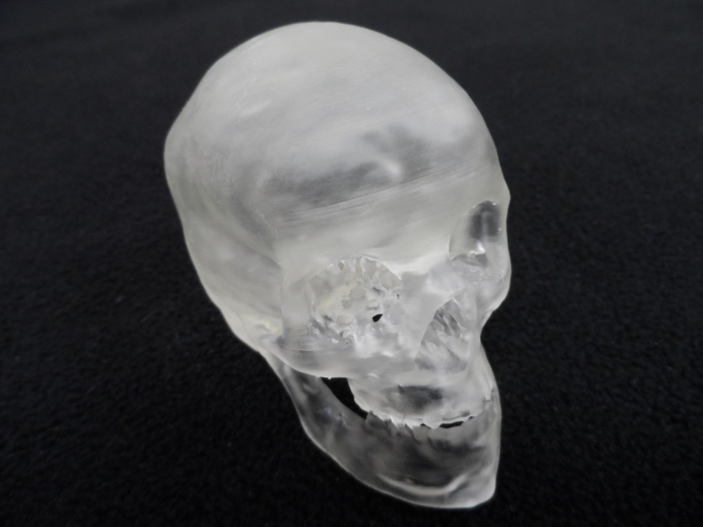 Form1 skull 3d printing