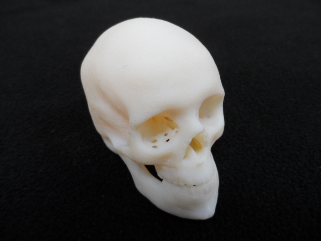 Objet skull 3d printing