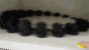 3d-printed-zoetrope-from-nervous-system