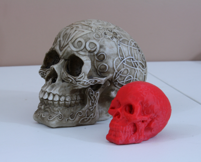 big skull little skull atlas 3d scanning