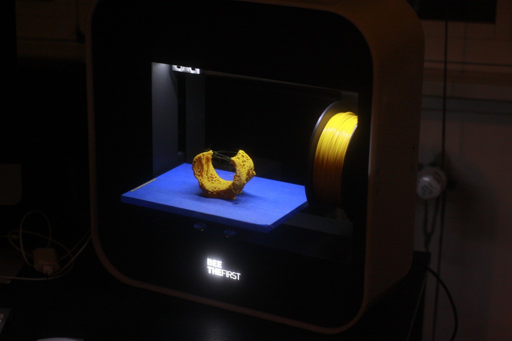 beethefirst3dprinter08