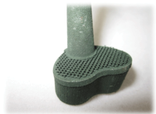 3D printed knee implant for cysro the cat