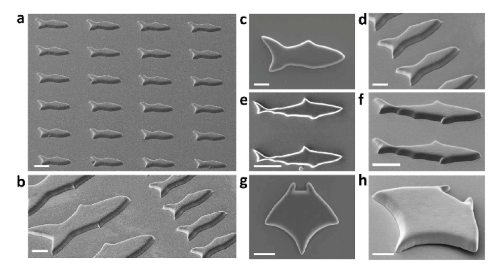 3D-Printed Artificial Microfish from UC San Diego