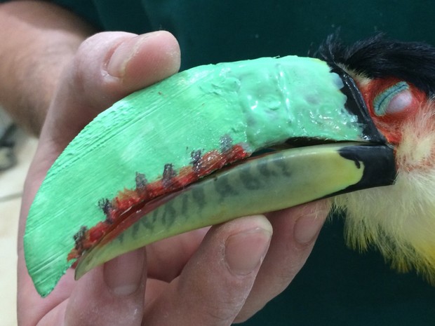 TuPaul 3D printed toucan beak