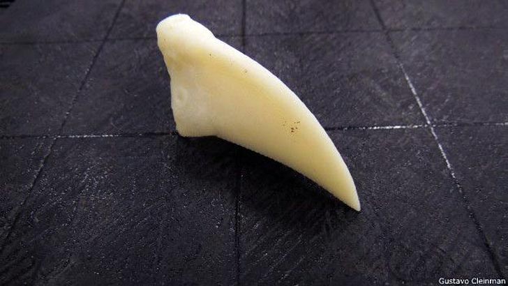 tieta 3D printed toucan beak ABS