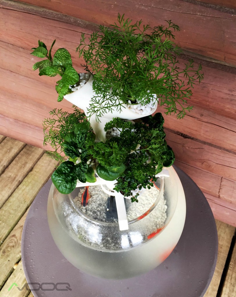 Avooq’s 3D Printable Aquaponics System from above