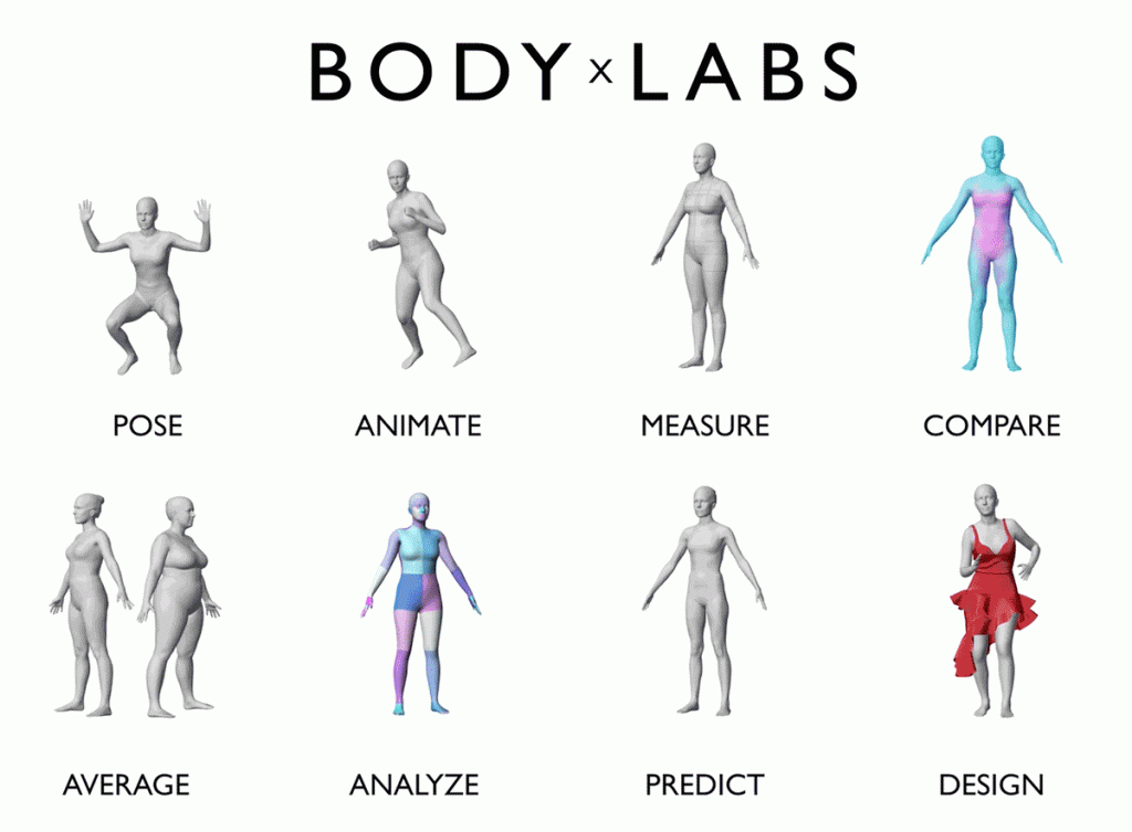 Body Models Large