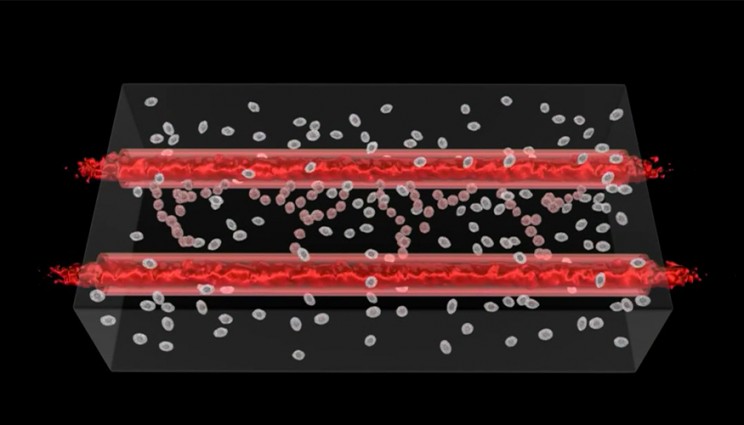 llnl 3D bioprinted blood vessels for ichip human on a chip