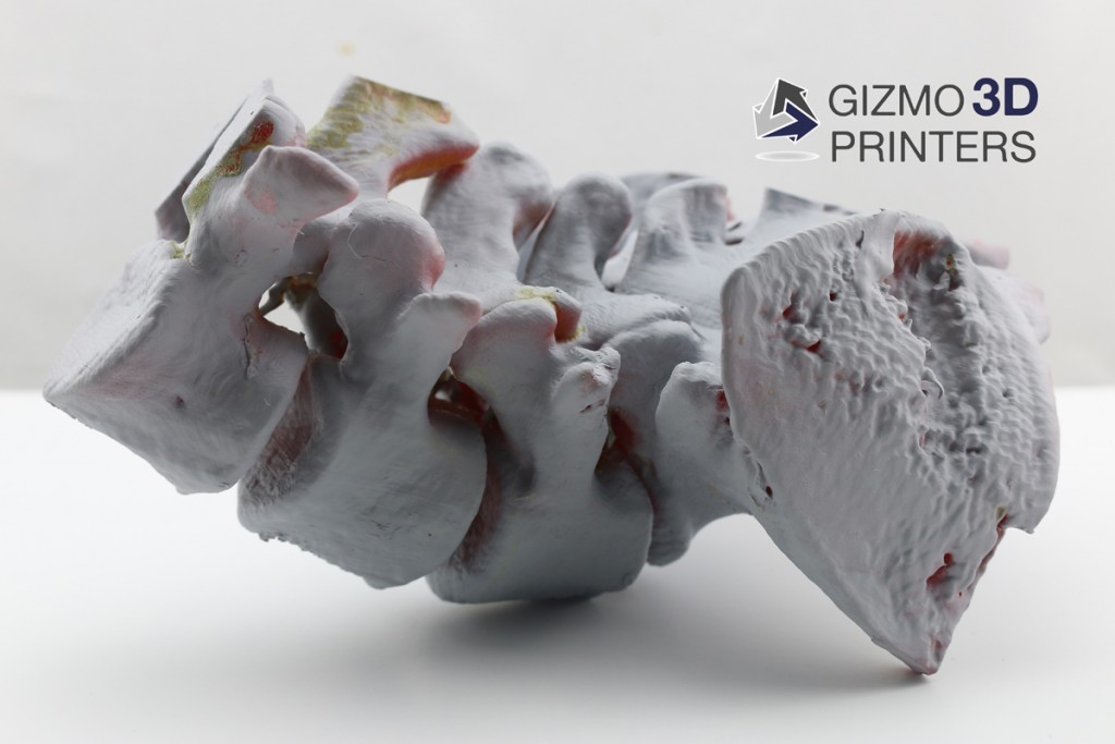 Gizmo 3D Printers Spine (7) FIN (1)