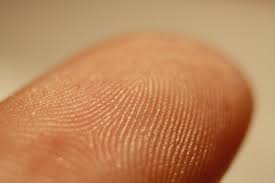 A fingerprint isn't necessarily secure