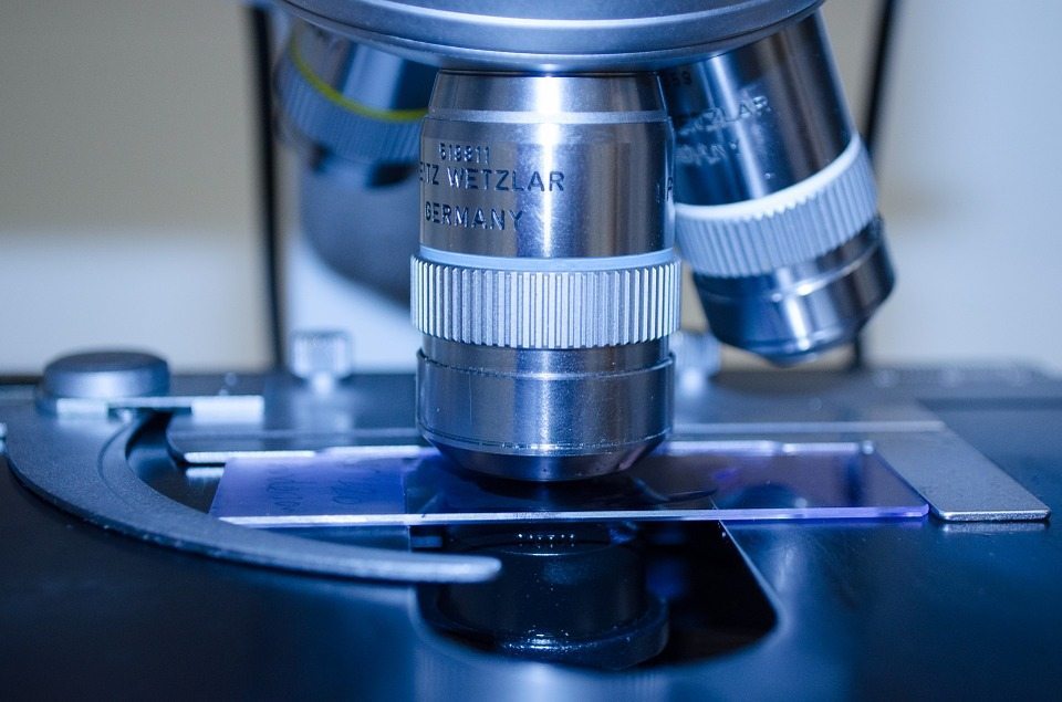 Microscopes and cell cultures are easier to manage and more humane than animal testing