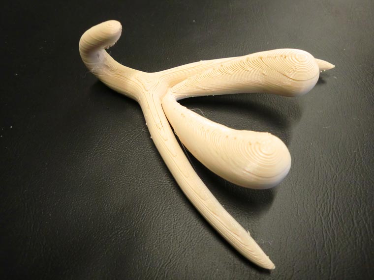 3D printed clitoris2