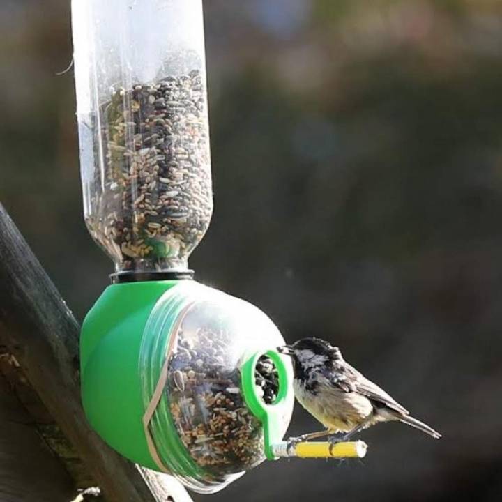 Look how happy the bird feeder has made this guy! Image: MyMiniFactory