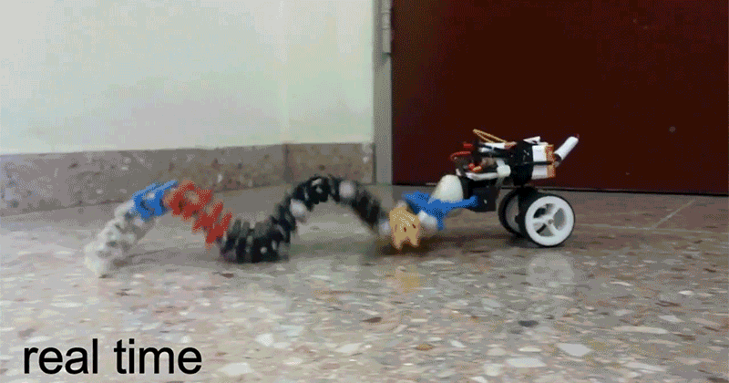 Snake robot in motion