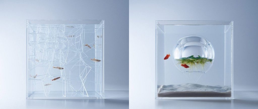 Waterscapes: Minimalist aquariums that float the idea of