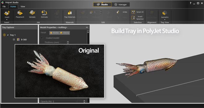 View in the Stratasys J750 software, PolyJet Studio, with photo overlay of the original Blaschka