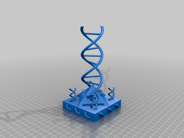 A 3D model of DNA double helix structure by brolfes16. Image via: thingiverse