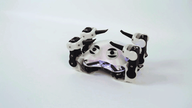 The Quadbot can perform a variety of movements. Gif via Engimake.