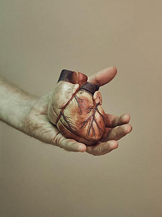 The 3D heart model Golesworthy proudly displays. Image via The Independent 