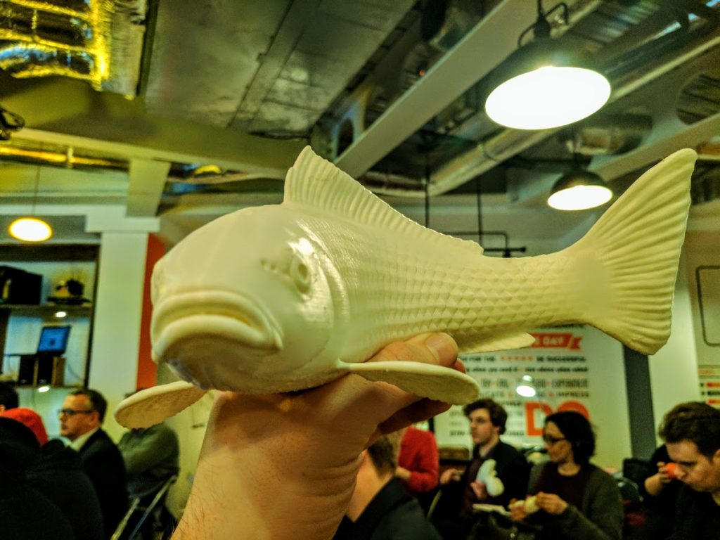 3D printed fish model from 3D print training at iMakr London. Photo by Michael Petch