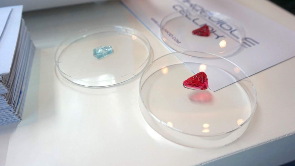 Mini 3D printed noses (pink) and an ear (blue) in a hydrogel from CELLINK.