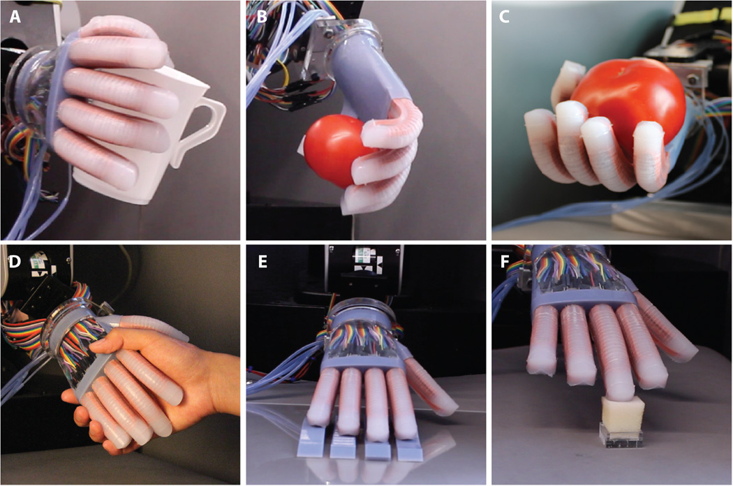 The Gentle Bot grasping a variety of different objects. Photo via Science Robotics.