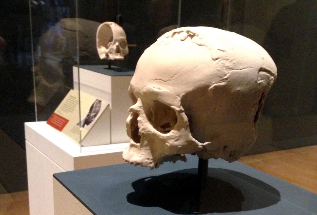 The first and second 3D printed reconstructions of the Jericho skull. Photo by Beau Jackson for 3D Printing Industry.