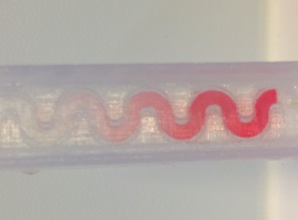 Another quick experiment with red dye. Photo via Dr. Matthew Partridge