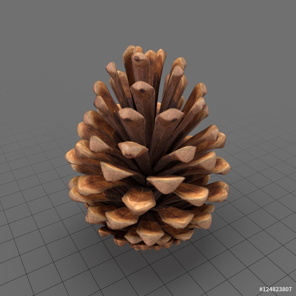 Cone fir/Pinecone .obj file Image via: Adobe Stock