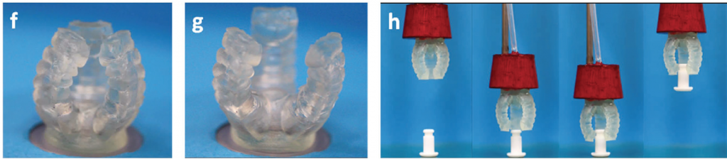 Air-powered DLP 3D printed claw from researchers in Singapore and Israel. Figure via D. K. Patel et al.