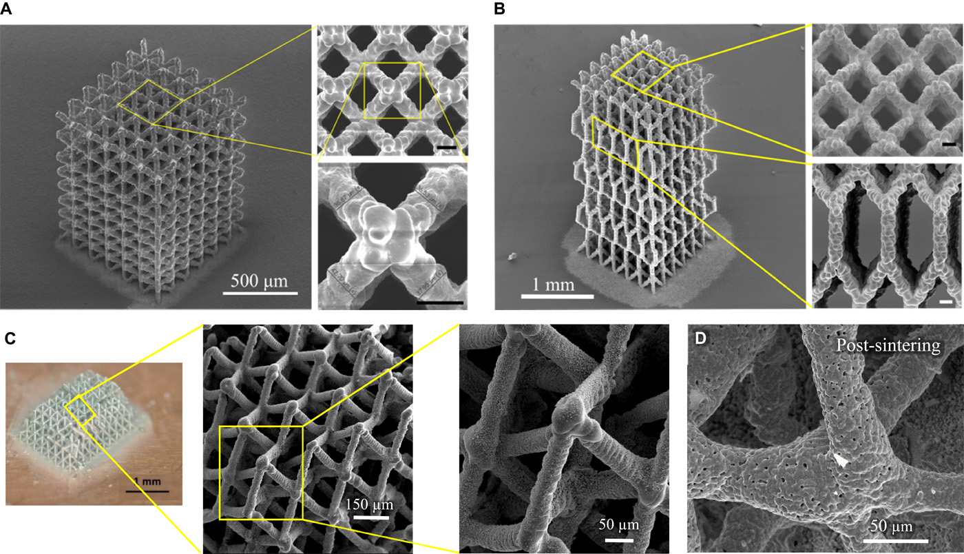 Figure 3 shows "3D microarchitectures with different network topologies." Image via Science Advances. 