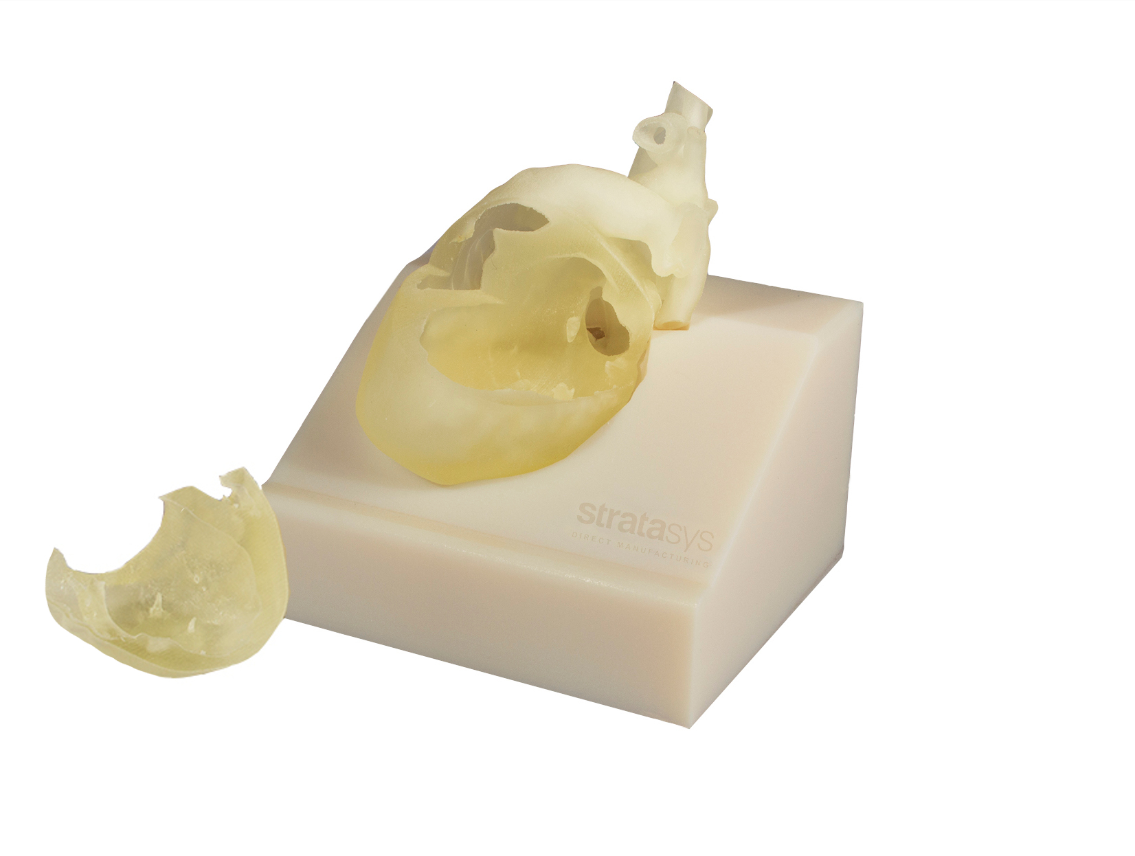 A 3D printed paediatric heart. Image via Stratasys. 