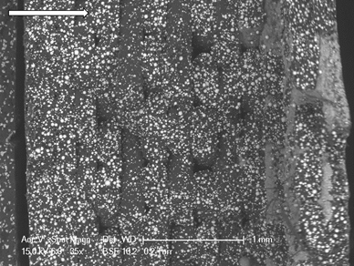 Figure 4 depicts a cross section SEM-BSE image of the bronzeFill print. Image via Progress in Additive Manufacturing.