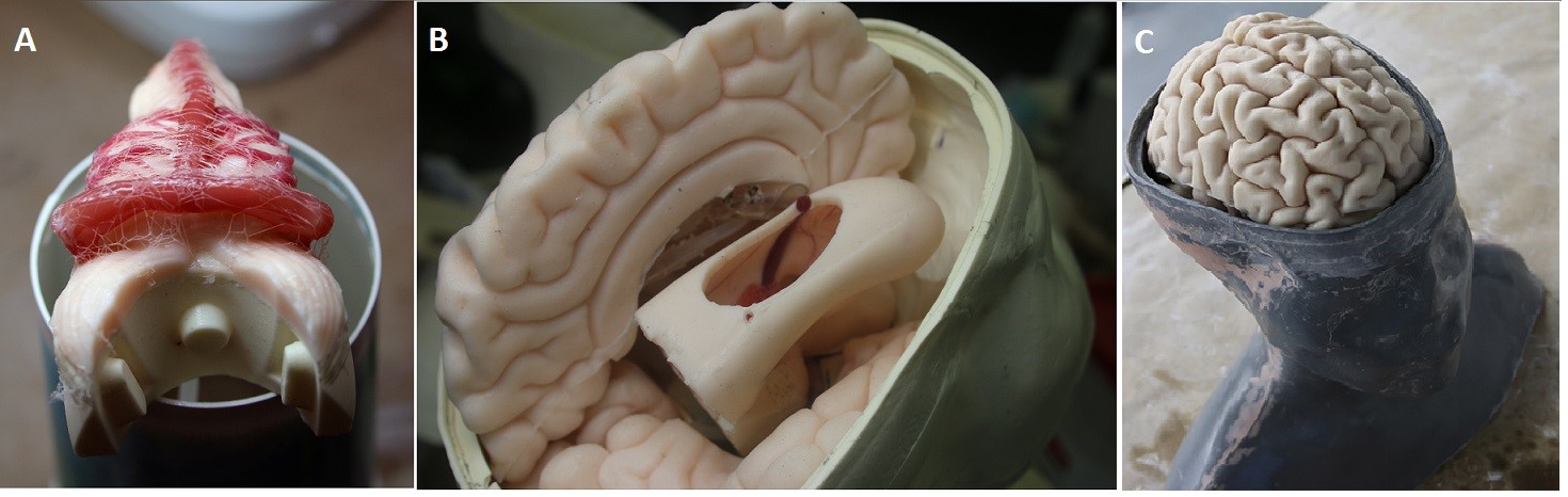 The insides of the 3D printed head. Image via the Journal of Neurosurgery.