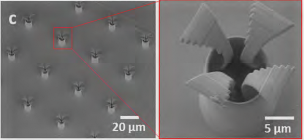 SEM Images of the 3D printed nano-scale tetrapods. Figure via Xu, Sanchez, Magdanz, Schwarz, Hebenstreit & Schmidt